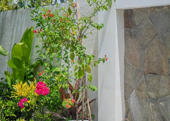 Casa Luna - 4br Near Canggu Kerobokan (Bali)